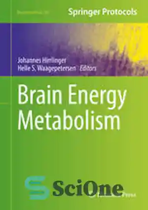 دانلود کتاب Brain Energy Metabolism – متابولیسم انرژی مغز